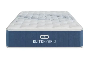 Bear Elite Hybrid Front