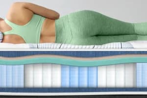 Bear Elite Hybrid inside