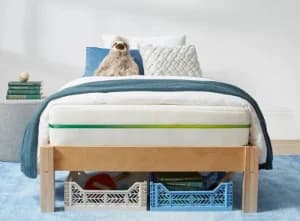 Helix Kids Mattress Benefit northern colorado