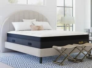 Nolah Evolution northern colorado