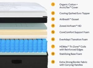 Nolah Evolution Inside northern colorado