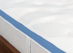 bear star hybrid side colorado