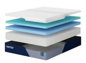 nectar premier foam northern colorado