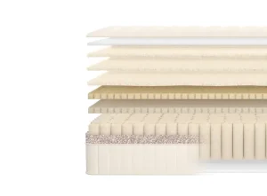 birch luxe inside fort collins colorado