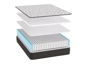 Sanibel Medium Hybrid