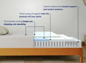 casper snow hybrid ft collins colorado