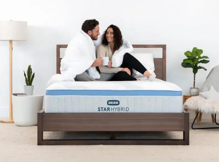 Bear Star Hybrid loveland colorado