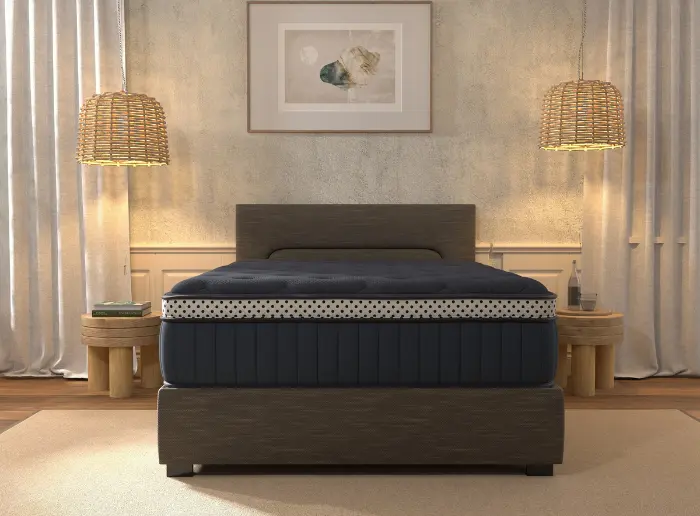 winkbed Blue series northern colorado